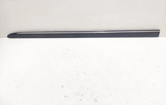 Mercedes-Benz R W251 Front door trim (molding) A2516902162