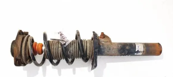 Volkswagen Jetta V Front shock absorber/damper 312615 824904006033