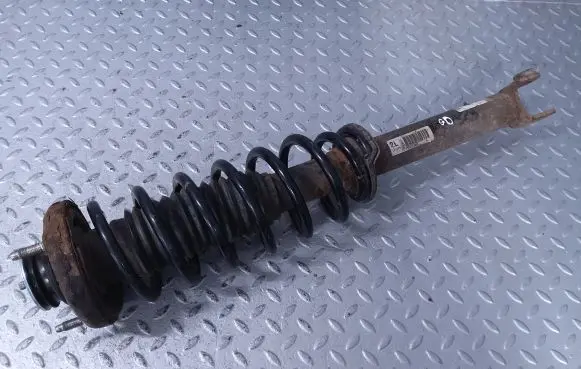 Chevrolet Epica Rear shock absorber with coil spring 96820580