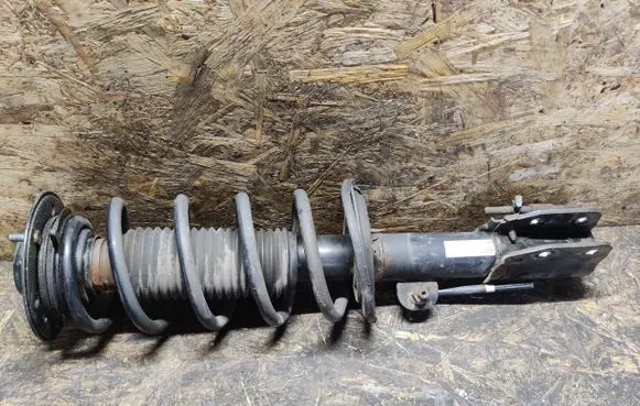 Opel Antara Front shock absorber with coil spring 95166267