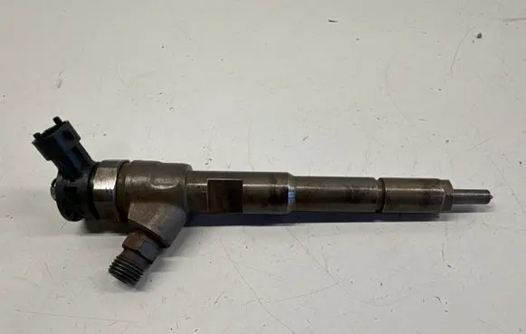 Renault Kangoo II Fuel injector 0445110485