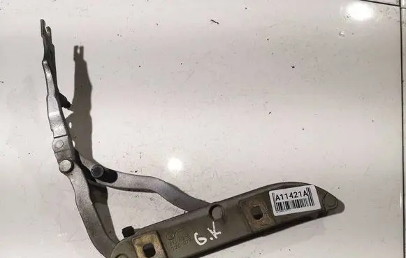 BMW 3 E46 Tailgate/trunk/boot hinge 220073