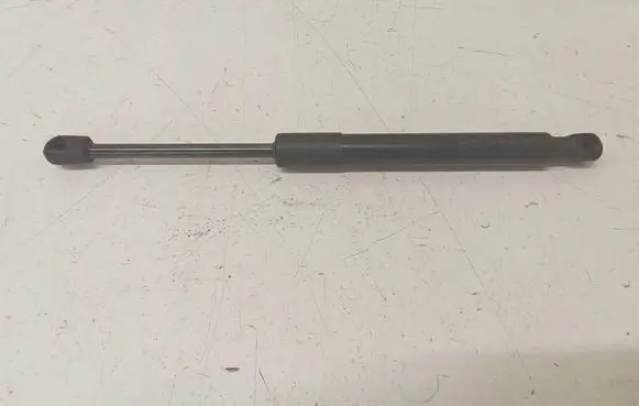 Tesla Model 3 Tailgate strut 109156000B