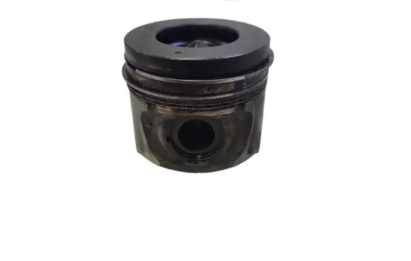 Opel Antara Piston 