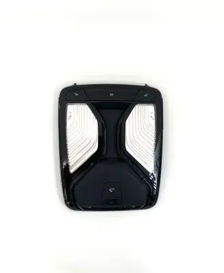 BMW 5 G30 G31 Front seat light 7945154 2172301994