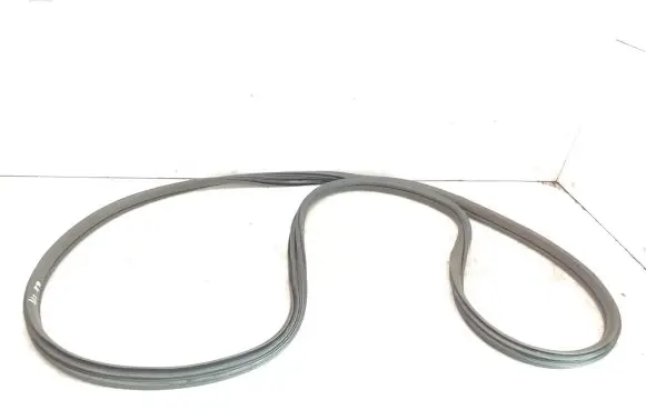 Rear door rubber seal (on body)