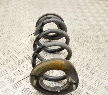 Tesla Model 3 Rear coil spring 104447201E
