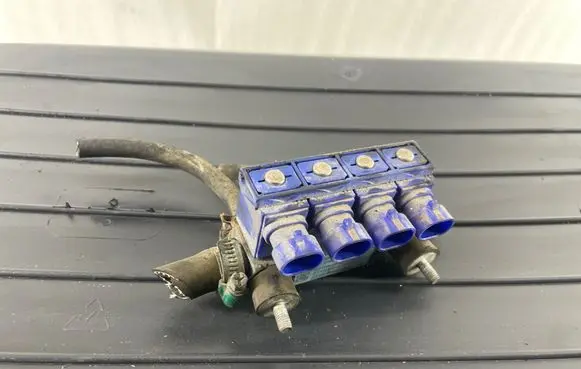Volkswagen Golf IV LP gas injector 110R000140 67R010199