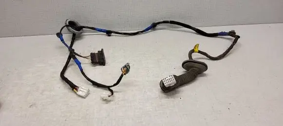 Hyundai Sonata Rear door wiring loom 916603K020