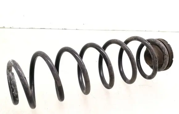Skoda Fabia Mk3 (NJ) Rear coil spring