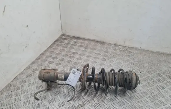 Front shock absorber/damper