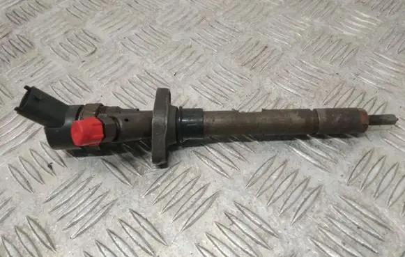 Citroen C5 Fuel injector 0445110036