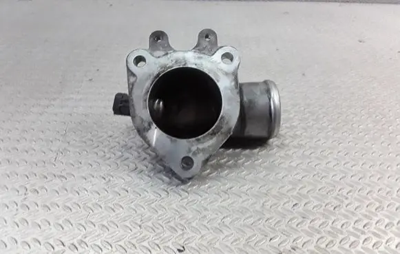 Thermostat/thermostat housing