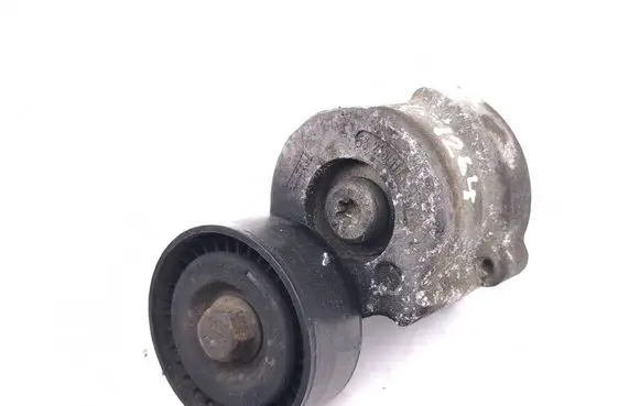 Jeep Cherokee Generator/alternator belt tensioner 05061000