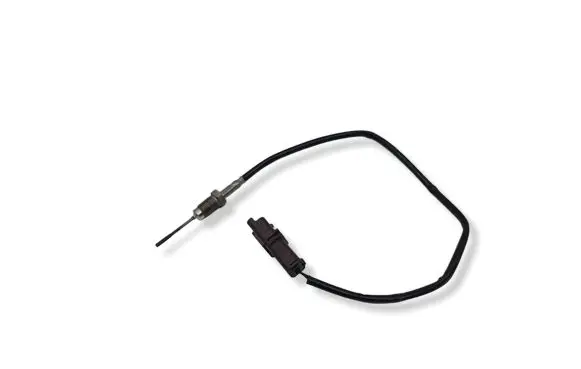 Peugeot 607 Exhaust gas temperature sensor 9638231780 10H230040