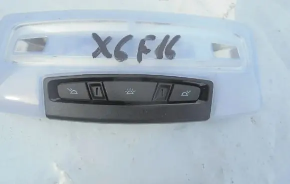 BMW X6 F16 Rear seat light