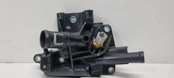 Thermostat/thermostat housing