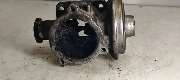 EGR valve