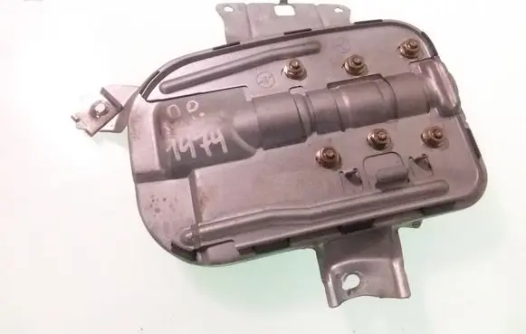 Front door airbag