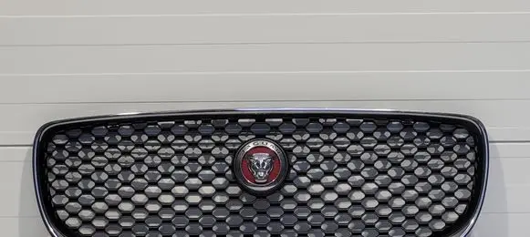 Jaguar XE Front grill X73-018K28-AA.