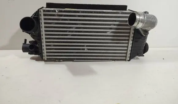 Hyundai Tucson IV NX4 Intercooler radiator 282702M400