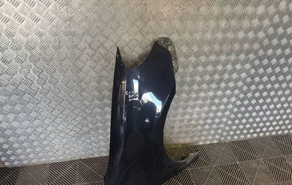 Volkswagen Golf VI Fender