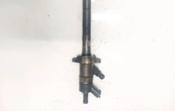 Volvo V50 Fuel injector 0445110259