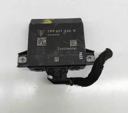 Porsche Cayenne (92A) Gateway control module 7PP907530R