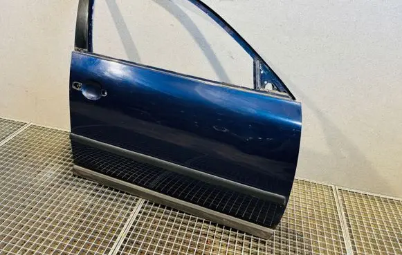 Volkswagen PASSAT B5.5 Front door 