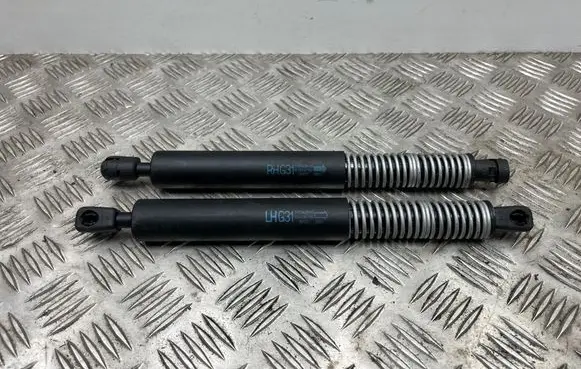 BMW 5 G30 G31 G38 Tailgate strut 7499425