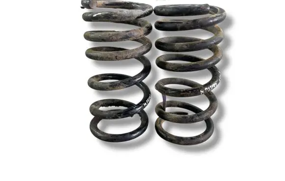 Rear coil spring