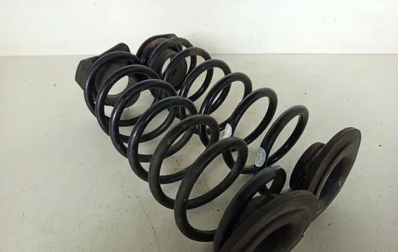 Rear coil spring