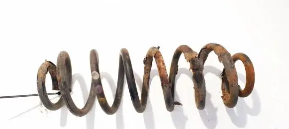 Volkswagen PASSAT B6 Rear coil spring
