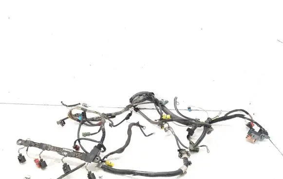 Engine installation wiring loom