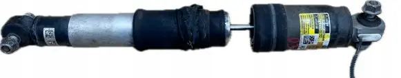 Cadillac Escalade IV Rear shock absorber/damper 8417667