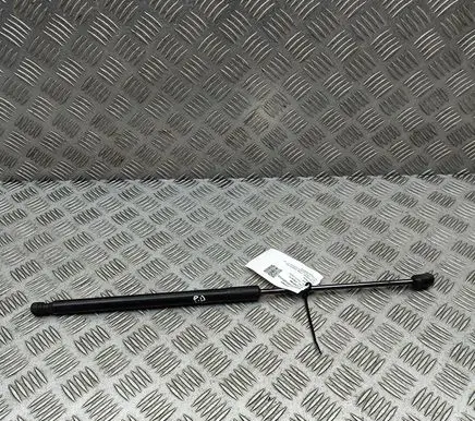 Ford Ranger Front bonnet/hood damper/strut EB3B16C826AA