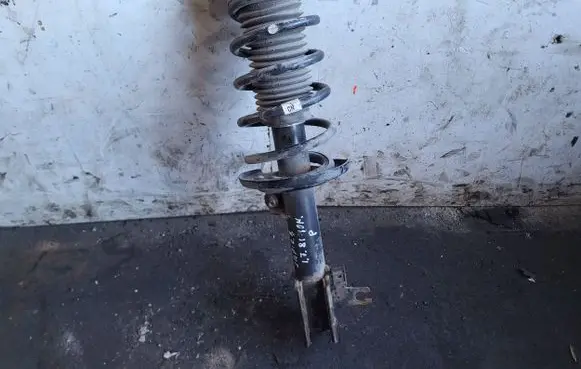 Opel Zafira B Front shock absorber with coil spring
