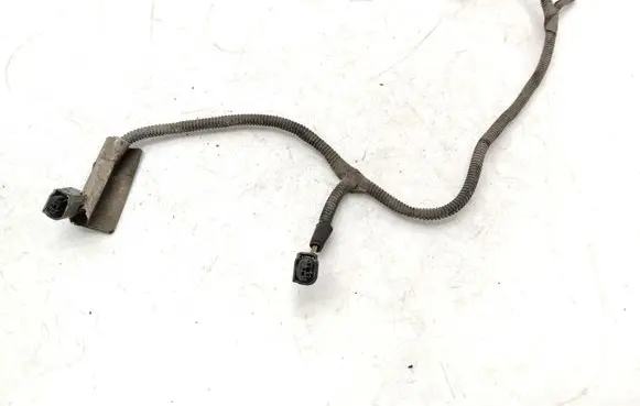 Rear door wiring loom