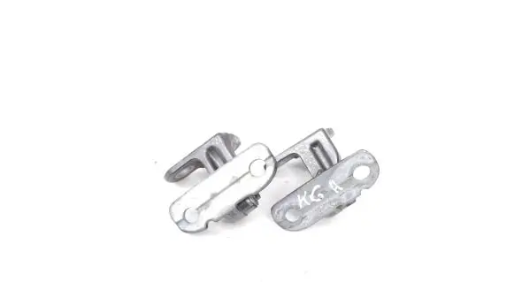 Jaguar XE Rear door lower hinge