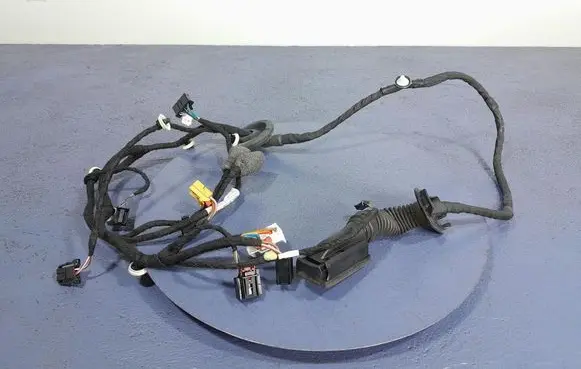 Other wiring loom