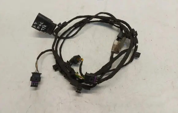 Other wiring loom