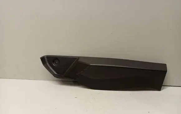 Rear/tail light trim molding
