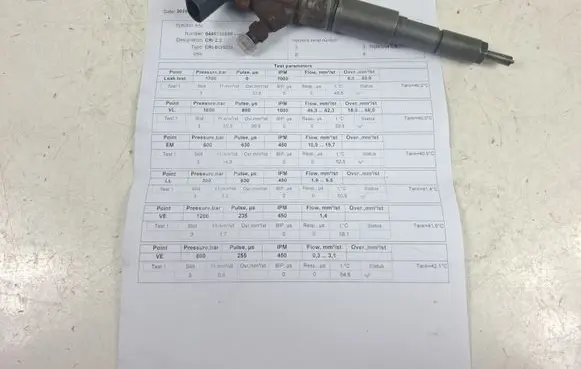 BMW 1 E81 E87 Fuel injector 0445110209