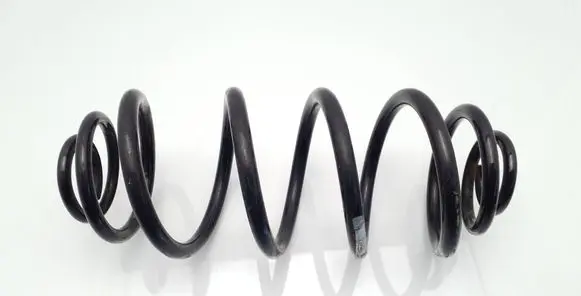 Rear coil spring