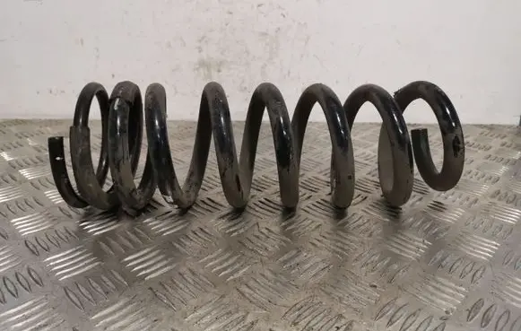 Jaguar F-Pace Rear coil spring HK835534DB