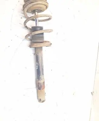 Front shock absorber with coil spring