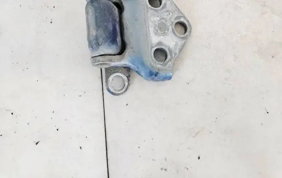 Rear door lower hinge