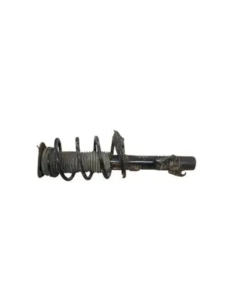 Front shock absorber with coil spring