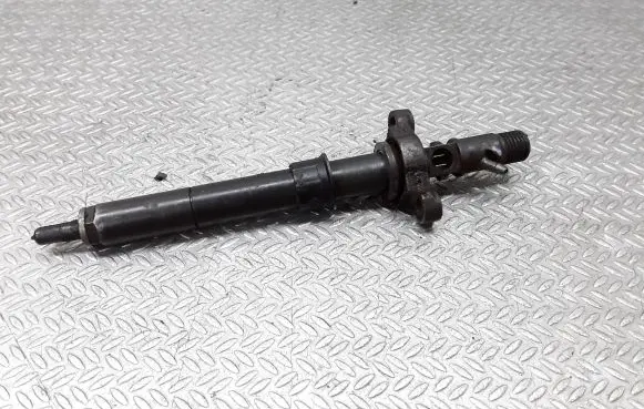 Citroen C5 Fuel injector EJBR03801D 9656389980