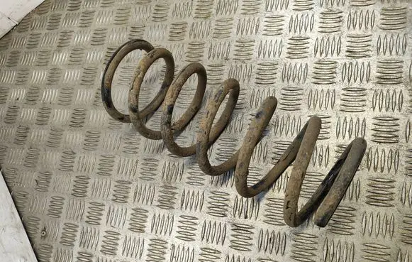 Rear coil spring